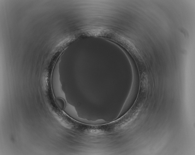 X0000111020590200906261542