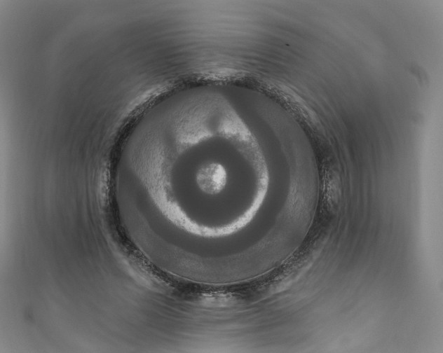 X0000111020591200906261542
