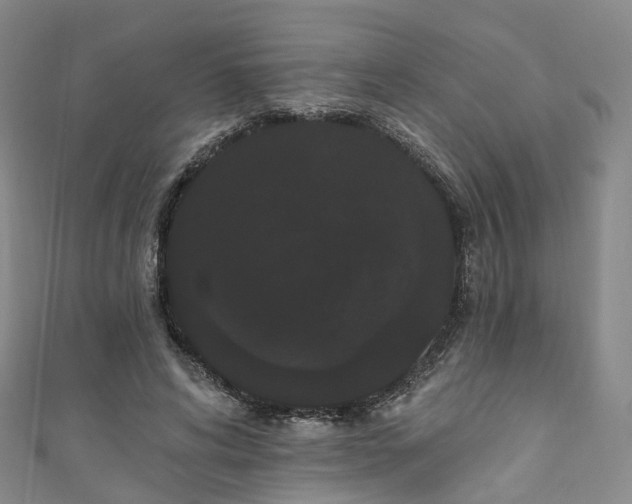 X0000111020592200906261542