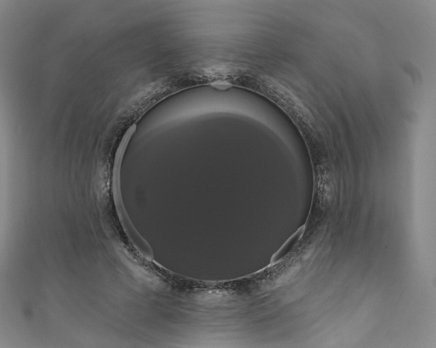 X0000111020593200906261542
