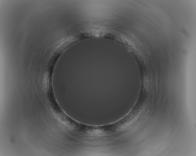 X0000111020594200906261542