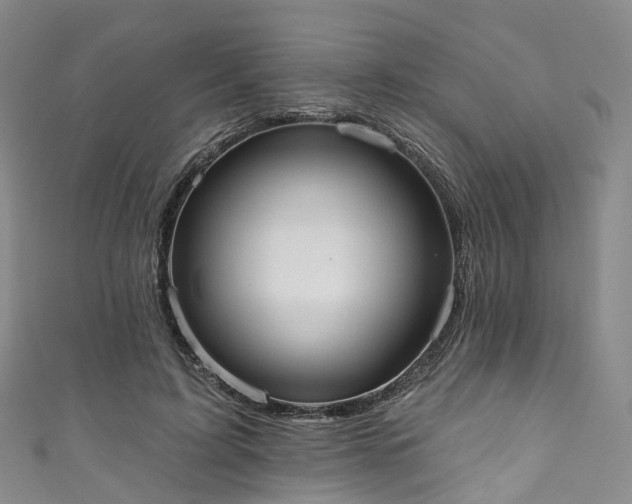X0000111020595200906261542
