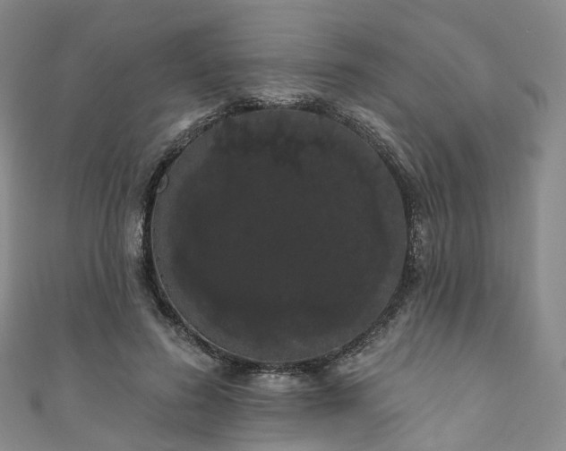 X0000111020596200906261542