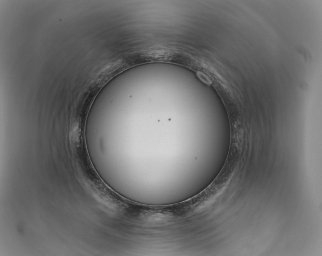 X0000111020597200906261542