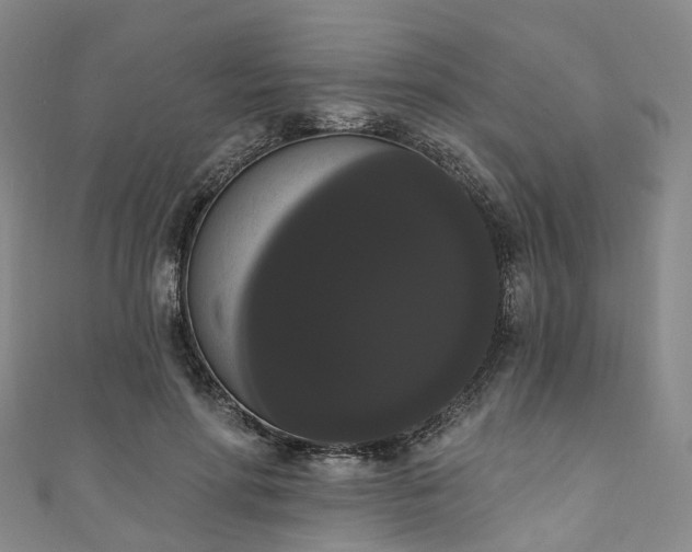 X0000111020598200906261542