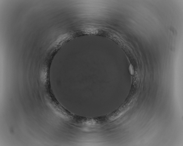 X0000111020600200906261542