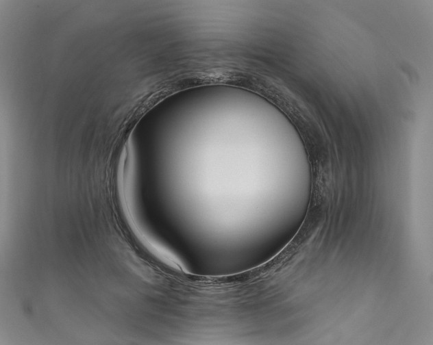 X0000111020601200906261542