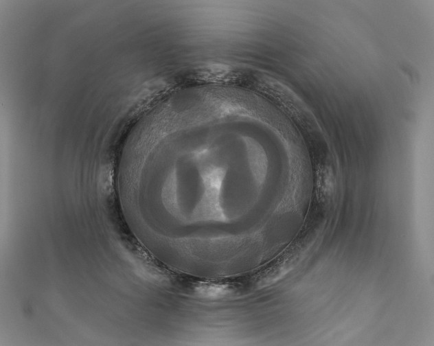X0000111020602200906261542