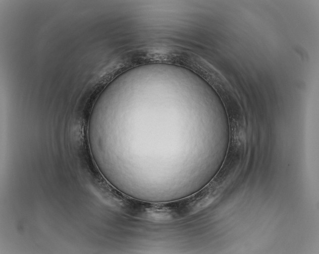 X0000111020603200906261542