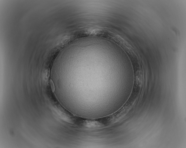 X0000111020605200906261542