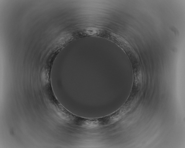 X0000111020606200906261542