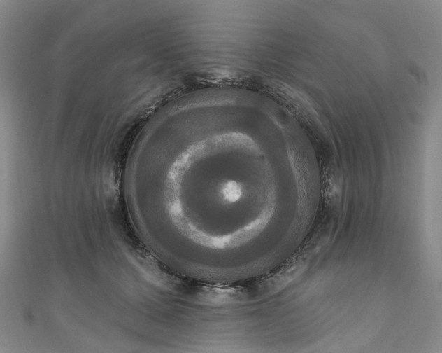 X0000111020607200906261542