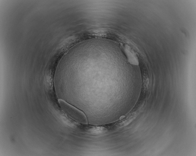 X0000111020609200906261542
