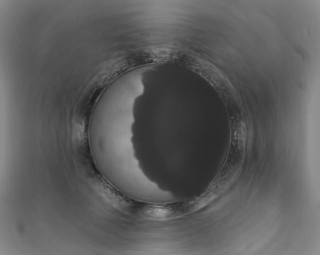 X0000111020610200906261542