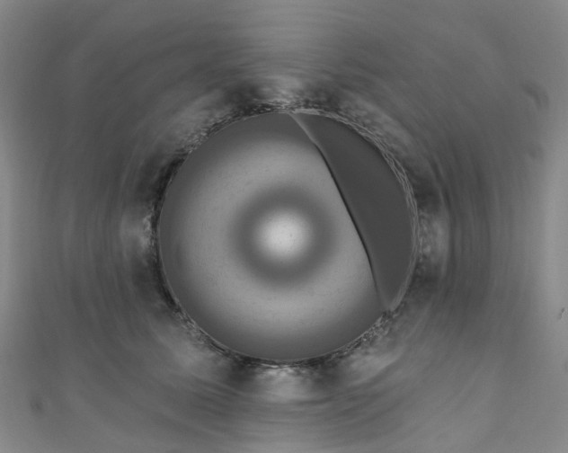 X0000111020611200906261542