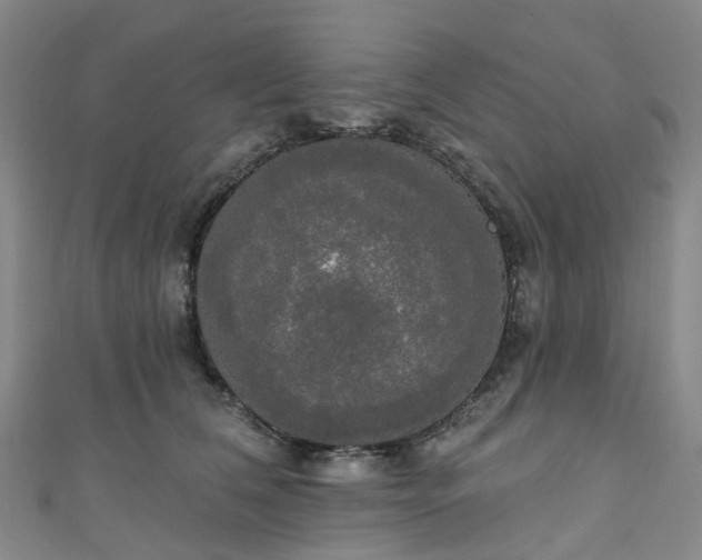 X0000111020612200906261542