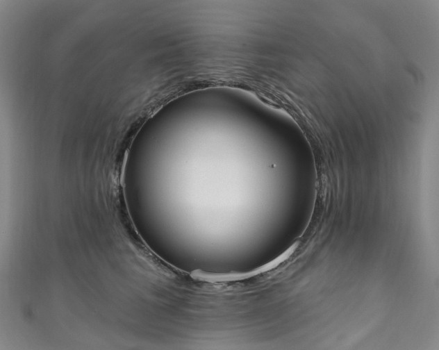 X0000111020613200906261542