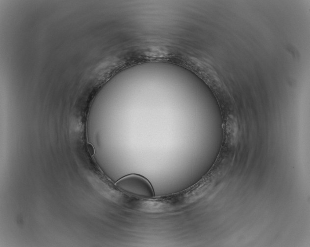 X0000111020614200906261542