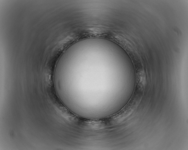 X0000111020615200906261542