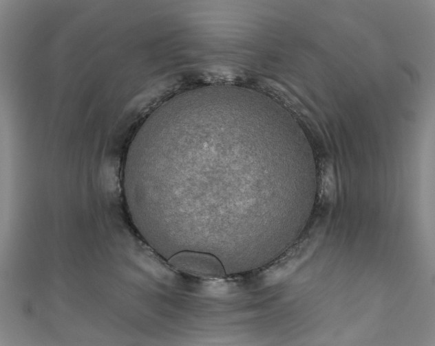 X0000111020616200906261542