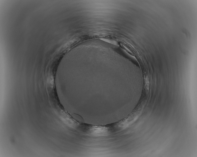 X0000111020617200906261542