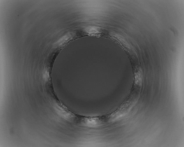 X0000111020618200906261542