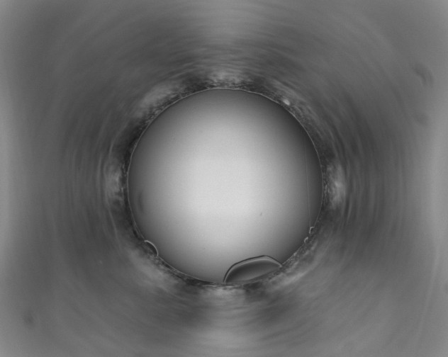 X0000111020619200906261542