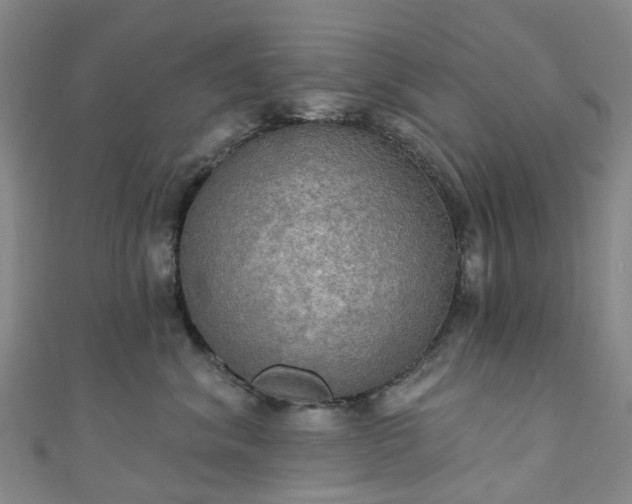 X0000111020620200906261542