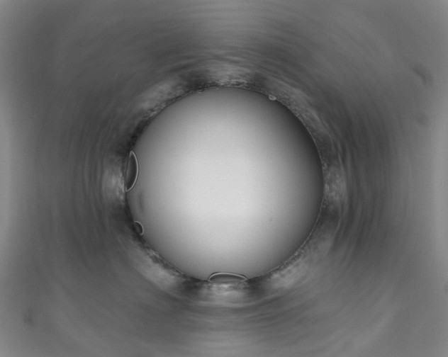 X0000111020622200906261542