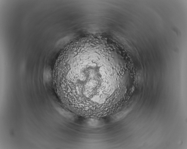 X0000111020623200906261542