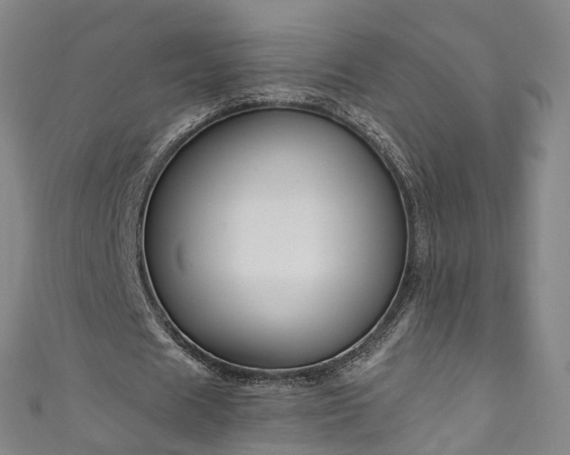 X0000111020625200906261541