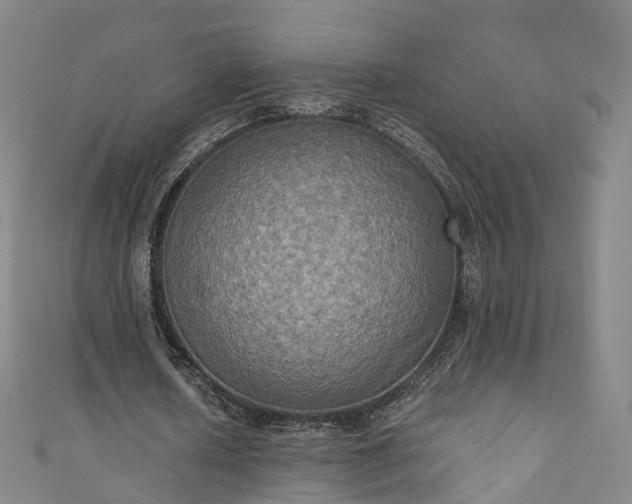 X0000111020626200906261541