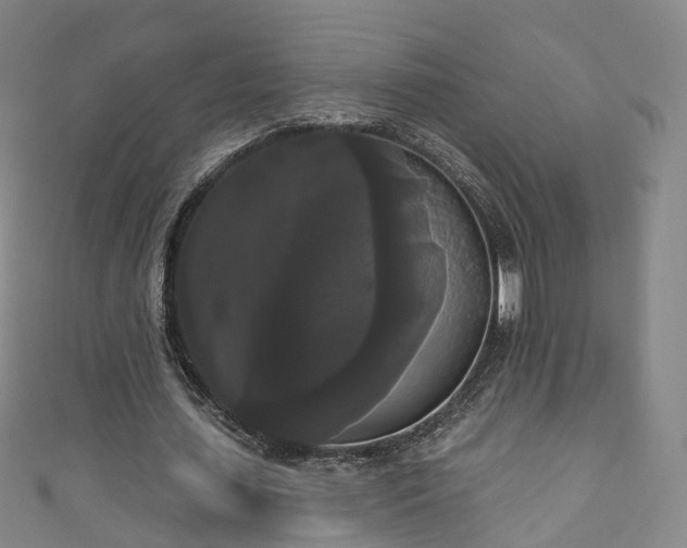 X0000111020627200906261541