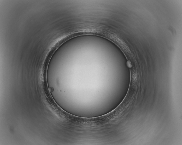 X0000111020628200906261541