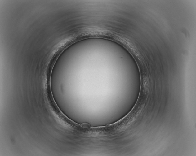 X0000111020629200906261541