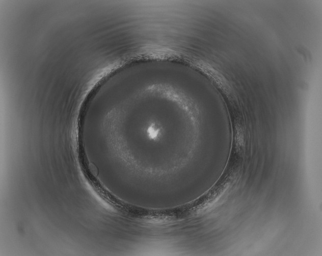 X0000111020630200906261541