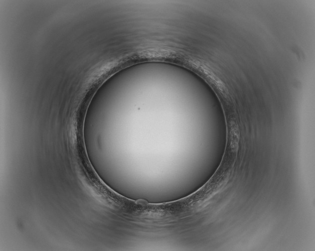 X0000111020631200906261541