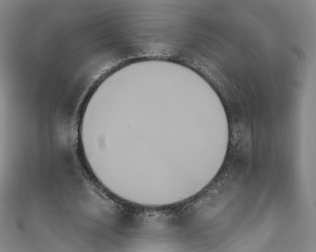 X0000111020632200906261541