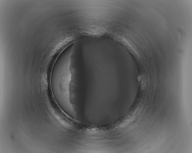 X0000111020634200906261541