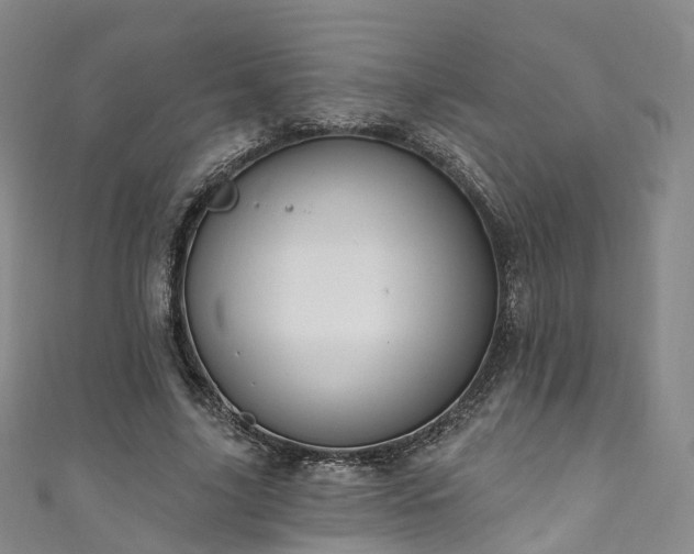 X0000111020635200906261541