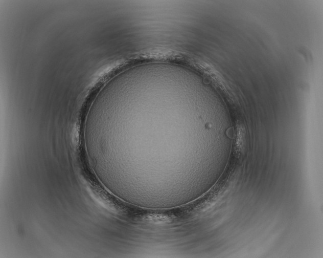 X0000111020636200906261541