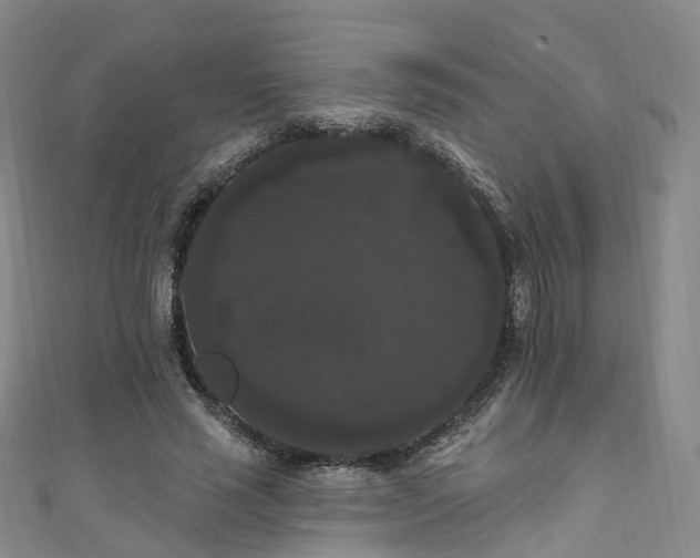 X0000111020637200906261541