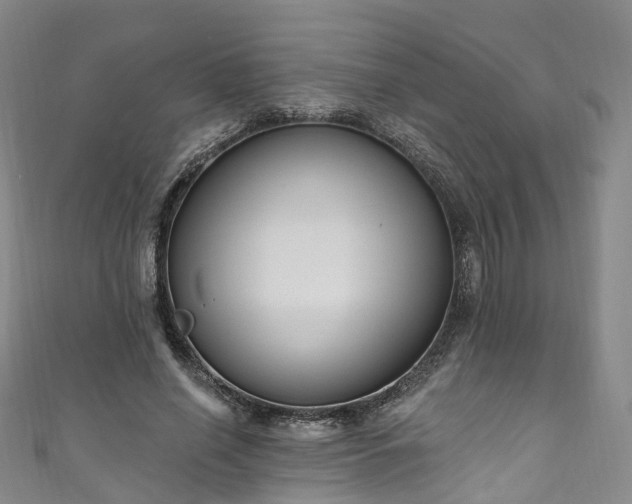 X0000111020638200906261541