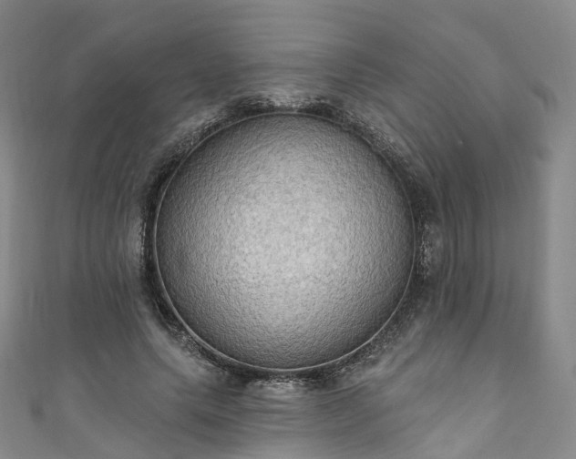 X0000111020639200906261541