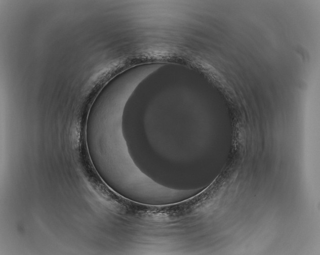 X0000111020640200906261541