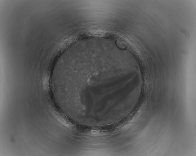 X0000111020641200906261541