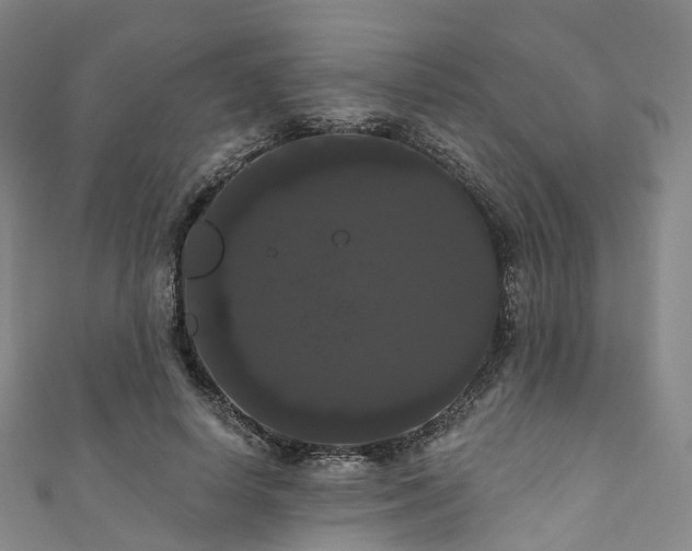 X0000111020642200906261541