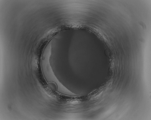 X0000111020643200906261541