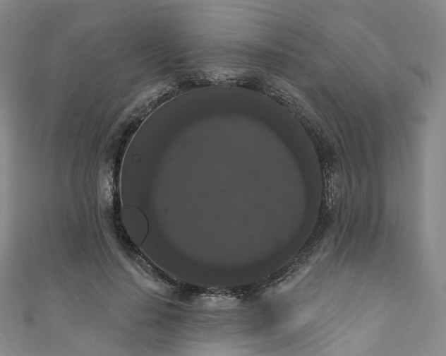 X0000111020644200906261541