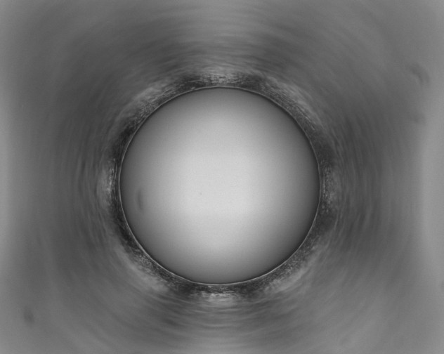 X0000111020645200906261541